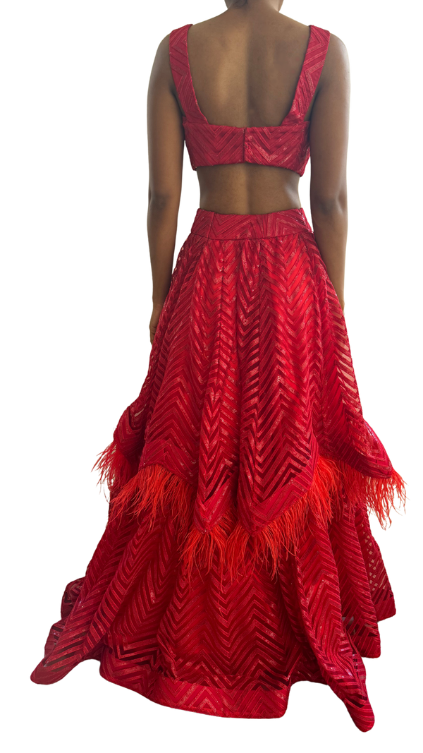 Crimson Red Feathered and Sequined Lehenga