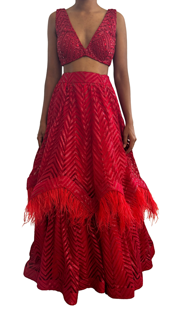 Crimson Red Feathered and Sequined Lehenga