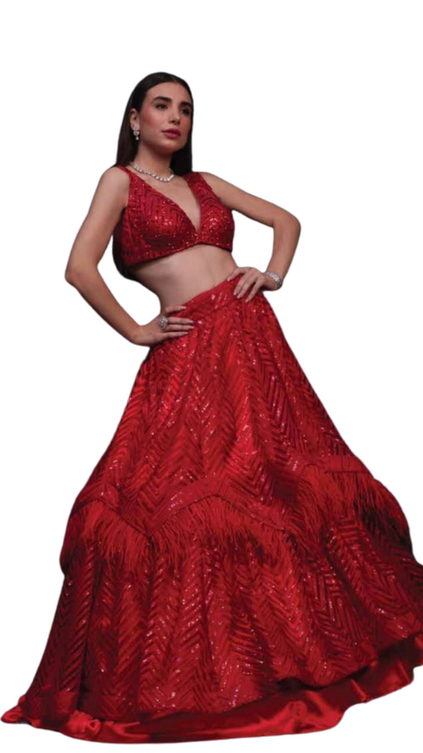Crimson Red Feathered and Sequined Lehenga