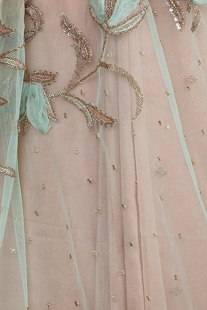 Nude & Mint Embroidered Sari Set