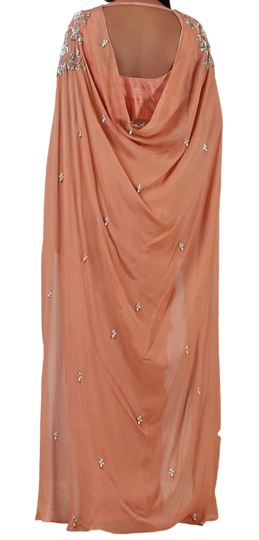 Coral Embellished Pre-Draped Belted Sari Gown - Preserve